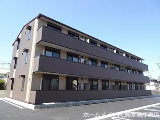 なのはなの画像