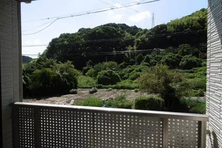 メゾン・chitoseの内装