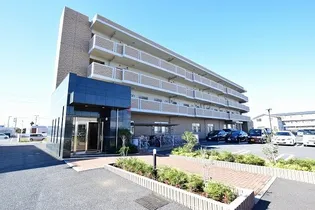 エクセレント Tの画像