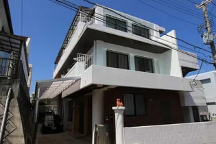 フリージアの画像