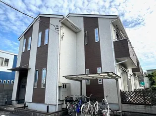 マンダリーノの画像