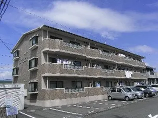 グレイス岩崎の画像