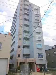 コスモス菊水の画像