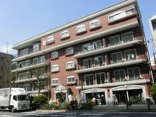 ロイヤルドレイクの画像