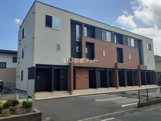 プリムローズBの画像