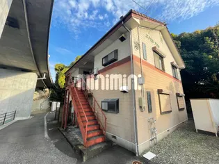 エクセルアオキの画像