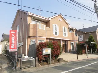 エル フラワーの画像