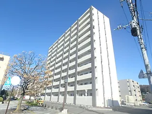BELLA LUCEの画像
