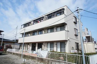 スターハイツヒルの画像