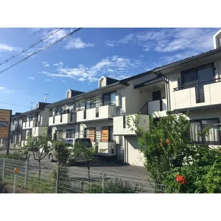 グリーン ゼフィルスの画像