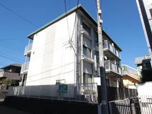 ラフィア湘南の画像