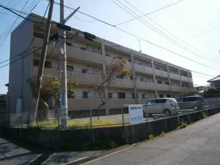 プラムマンション【3階】の外観