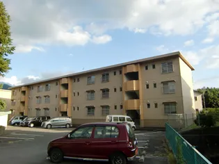 シティ山崎の画像