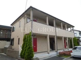 アムールアムールの画像