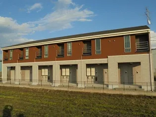 ボニートの画像