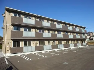 アプリコットの画像