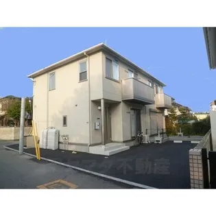 Yヨウトウ7パナメゾンの画像