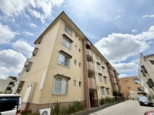 シャトーY M Dの画像