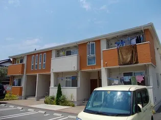 プラシードの画像