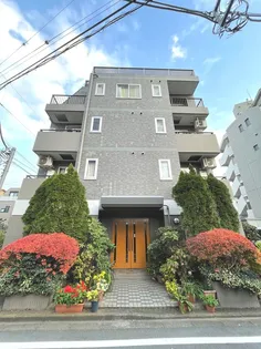 グランドステータス ピエドラの画像