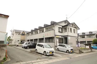 かたくりの画像