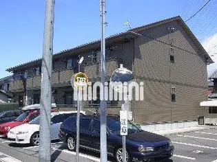 PASTORAL YOU Vの画像