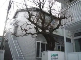 ブリティホワイトパレスII【2階】の外観