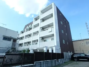 CRISTAL VIOLETAの画像