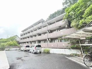 スターダスト麻生の画像
