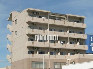 クランベリー巾下の画像