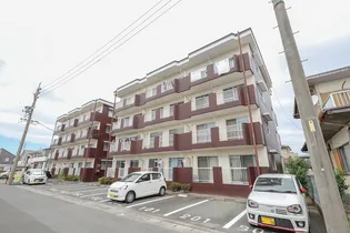 ルームミニオンBの画像