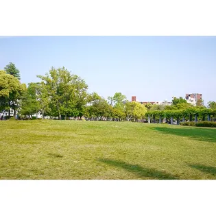 URアーベイン美野島【11階】の周辺