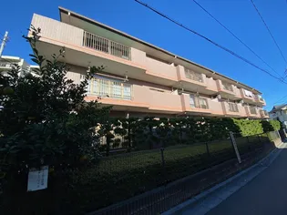 ロイヤルパレス【3階】の外観