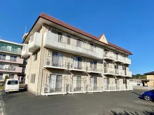 WHITE VESSELの画像