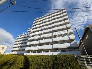 アレックス日乃本の画像