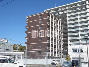 アスリスの画像