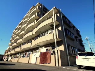 シャルマン6の画像