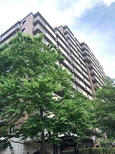 パークシティ横濱B棟の画像