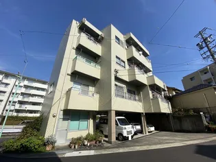 ソレイユカトウの画像