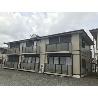 アムールアドニスⅡの画像