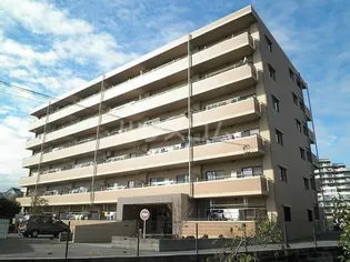 ノヴァ デ ガイアの画像