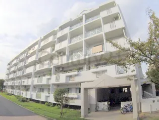 アルビス寺本3号棟【5階】の外観