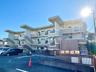 デュー カルムの画像