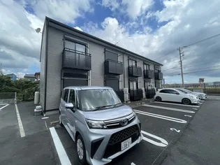 ベルフラワーの画像