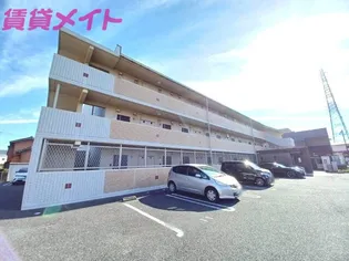 M'Sの画像