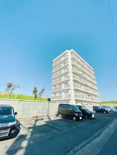 ラフィーネIIの画像