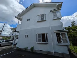 マリンパレットの画像