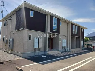 エクセレントII Bの画像