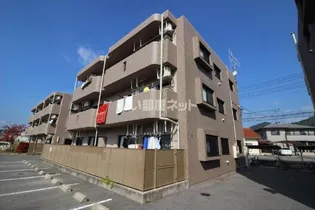 たんぽぽ Cの画像