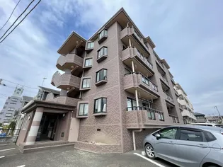 ピアレスの画像